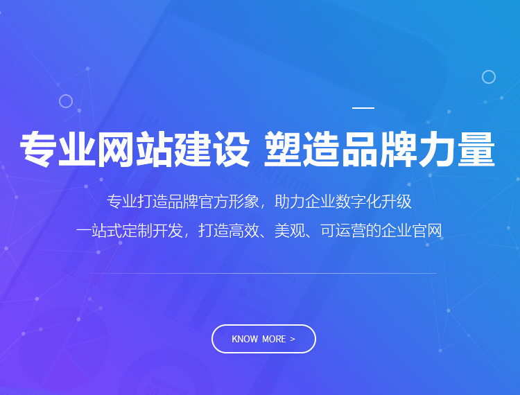 龙岩建站-专业网站建设 塑造品牌力量